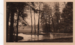 VOUILLE LA BATAILLE L'AUXANCE ET LA PRAIRIE DU CHATEAU DE LA CHAPELLE TBE - Vouille