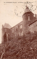 Delcampe - LUSIGNAN LE CHATEAU DE LA MELUSINE TBE - Lusignan