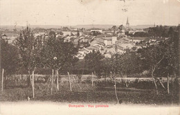 DOMPAIRE : VUE GENERALE - Dompaire