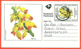 South Africa 1996. Postcard  Passed Through The Mail. - Covers & Documents