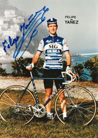 PHOTO PRESSE FELIPE YAÑEZ TEAM MG - ORBEA 1985 ( FORMAT 12,5 X 18 - Ciclismo