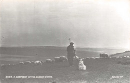 ENGLAND // SUSSEX - A SHEPHERD ON THE SUSSEX DOWNS # SHEEPS - Publisher : Judges.♥♥♥ - Autres & Non Classés