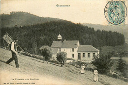 Gérardmer * La Fenaison Aux Bas Rupt * Agriculture - Gerardmer