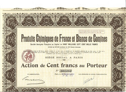 PRODUITS CHIMIQUES DE FRANCE ET BLANCS DE COMINES . ACTION DE CENT FRANCS AU PORTEUR . - Industrie