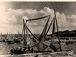 Douarnenez * Les Bateaux Sardiniers Dans Le Port De La Ville * Pêche Pêcheurs - Douarnenez