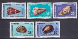 COMORES - 1971 - SERIE COMPLETE COQUILLAGES - YVERT N°572/76 ** MNH  - COTE = 30 EUR. - Neufs