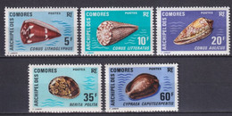 COMORES - 1971 - SERIE COMPLETE COQUILLAGES - YVERT N°572/76 ** MNH  - COTE = 30 EUR. - Unused Stamps