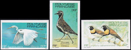 Polynésie Non Dentelés N°189 /191 Faune:oiseaux De Polynésie (3 Valeurs) Qualité:** - Ongetande, Proeven & Plaatfouten