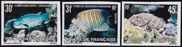 Polynésie Non Dentelés N°174 /176 Faune:poissons (3 Valeurs) Qualité:** - Imperforates, Proofs & Errors