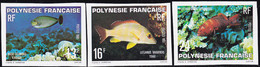Polynésie Non Dentelés N°160 /62 Faune:poissons (3 Valeurs) Qualité:** - Sin Dentar, Pruebas De Impresión Y Variedades