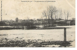 Inondations De 1910 Vue Panoramique De Plessis Brion - Otros & Sin Clasificación