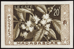 Madagascar Non Dentelés N°331  Le Café Non Dentelé Qualité:** - Autres & Non Classés