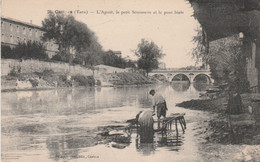 CPA (81) CASTRES L'Agout, Le Petit Séminaire Et Le Pont Biais Lavandière Laveuse Blanchisseuse - Castres