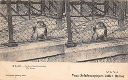 Cartes Stéréos.    4 Cartes   Paris  Jardin D'Acclimatation . Singes Autruches  Et  Militaires     (voir Scan) - Stereoskopie