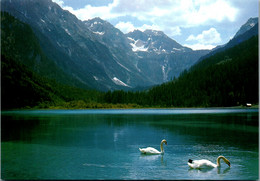 37132 - Salzburg - Jägersee Im Kleinarltal , Aufstieg Zum Tappenkarsee - Nicht Gelaufen - St. Johann Im Pongau