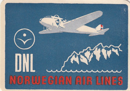 Norway DNL Det Norske Luftfartselskap Norwegian Air Lines Old Label - Etichette Da Viaggio E Targhette