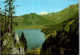 37207 - Niederösterreich - Lunzersee Gegen Ötscher - Gelaufen 1976 - Lunz Am See