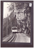 FORMAT 10x15cm - BrMB - BRUNNEN MORSCHACH BAHN - REPRO ANNEES 70 - LEUTWILER VERLAG - TRAIN - BAHN - TB - Wiler Bei Utzenstorf