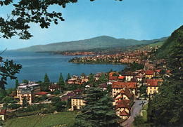 SUISSE,SWITZERLAND,VAUD,MONTREUX,,TERRITET, RARE - Montreux