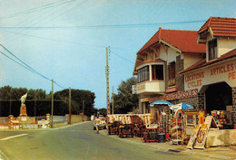 ¤¤   -   ILE De NOIRMOUTIER  -  BARBATRE  -  La Magasin " GOA 2000 "  -  Le Monument Aux Morts   -  ¤¤ - Noirmoutier