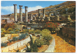 Cyrene Cyrenaica Libya - Libye