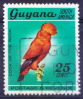 Guyana 1968 Used, Cock-of-the-rock, Large Cotingid Birds - Cuco, Cuclillos