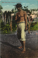 PC PANAMA, WILD BUSH MAN, Vintage Postcard (b42593) - Panama