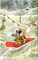 PC DISNEY, MICKEY MOUSE, PIG, DONALD DUCK, Vintage Postcard (b43811) - Disneyland
