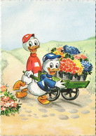 PC DISNEY, HUEY, LOUIE DUCK, Vintage Postcard (b43832) - Disneyland