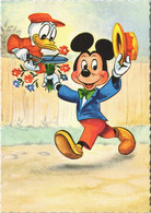 PC DISNEY, DONALD DUCK, MICKEY MOUSE, Vintage Postcard (b43834) - Disneyland