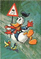 PC DISNEY, DONALD DUCK SLIPPING ON ICE, Vintage Postcard (b43836) - Disneyland