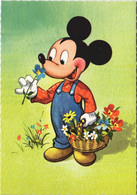 PC DISNEY, MICKEY MOUSE PICKING FLOWERS, Vintage Postcard (b43839) - Disneyland