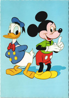 PC DISNEY, MICKEY MOUSE, DONALD DUCK, Vintage Postcard (b43846) - Disneyland