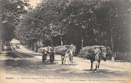 64-ANGLET- MARCHANT ESPAGNOLS SUR LA ROUTE NATIONALE - Anglet