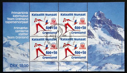 Greenland 1994   MiNr. 243 Block 5 (o)  ( Lot Mappe) - Oblitérés