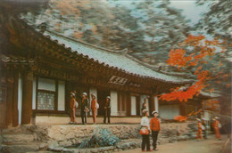 North Korea - Sangwon Temple At Mt Myohyang 3 D Dimensional Postcard - Corée Du Nord