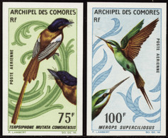 Comores Non Dentelés Poste Aérienne N°20 /21 Oiseaux (2 Valeurs) Qualité:** - Autres & Non Classés