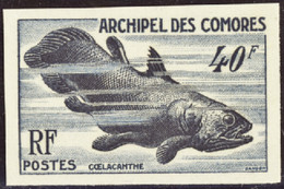 Comores Non Dentelés N°13 Faune Marine Coelacanthe Non Dentelé Qualité:** - Autres & Non Classés