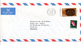 NOUVELLE ZELANDE AFFRANCHISSEMENT COMPOSE SUR LETTRE POUR LA FRANCE 1972 - Storia Postale