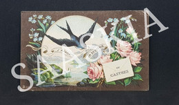 #CPA376 - CPA J'apporte Un Souvenir De Castres - Editeur Talabot Paris Bordeaux - Oiseau Enveloppe Fleurs Rose - Castres