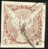 Ceskoslovensko - Tsjechoslowakije - C11/29 - (°)used - 1918 - Michel 17 - Vliegende Valk - Newspaper Stamps