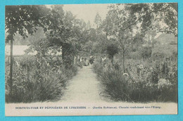 * Linkebeek (Vlaams Brabant) * Horticulture Et Pépinières, P. Vanuffelen, Jardin Robinson, Chemin Vers L'étang, Old - Linkebeek