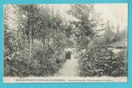 * Linkebeek (Vlaams Brabant) * Horticulture Et Pépinières, P. Vanuffelen, Jardin Robinson, Chemin Parmi Les Coniferes - Linkebeek