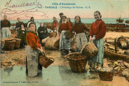 Cancale * Emballage Des Huîtres * Ostréiculture - Cancale