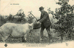 En Périgord * Groupe Sympathique Cherchant La Truffe * La Bête Attendant Sa Récompense * Truffier * Types Personnages - Sonstige & Ohne Zuordnung