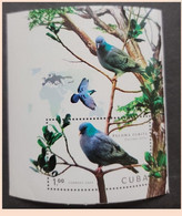 O) 2020 CUBA,  IMPERFORATED, BIRD, PIGEON - DOVE,  COLUMBA OENAS, CONSERVATION STATUS OF LESS CONCERN  LC, MNH - Ongetande, Proeven & Plaatfouten