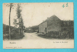 * Hastière (Namur - La Wallonie) * (Nels, Série 7, Nr 253) La Route De Maurenne, Old, Unique, TOP, Rare - Hastière