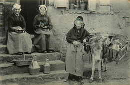 Auvergne * Les Vendeuses De Lait * Types Personnages * âne Mulet Laitières - Autres & Non Classés