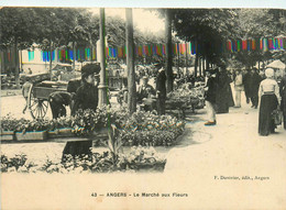 Angers * Le Marché Aux Fleurs * Foire Marchands - Angers