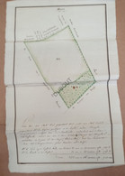 Manuscriptkaart - Kampenhout/Berg - Grond + Bos Gelegen In De "Hassel" (?) - 1803 (V1701) - Manoscritti